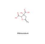 Hibiscussaeure