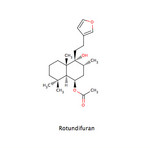 Rotundifuran