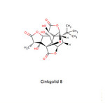 Ginkgolid B