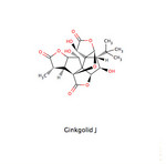 Ginkgolid J