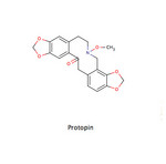 Protopin